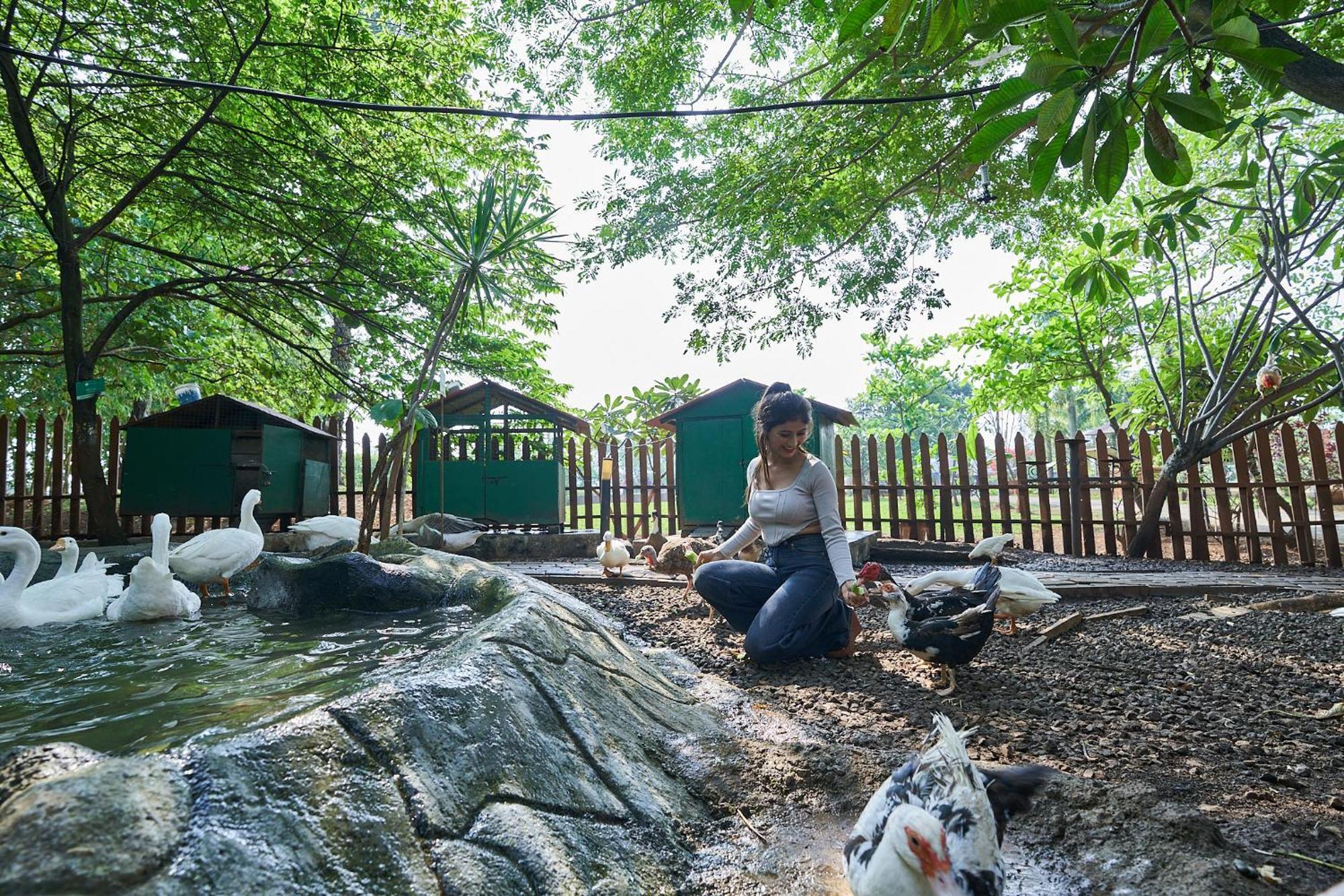 Grape County Eco Resort & Spa, Nāsik Eksteriør bilde